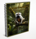 Kaiser-Tamarin