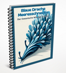 Blauer Drache Meeresschnecke