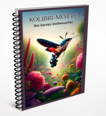 Kolibri Motte