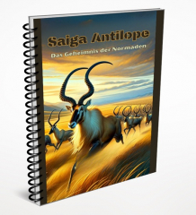 Saiga Antilope