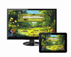 Die erstaunlichen Ameisen